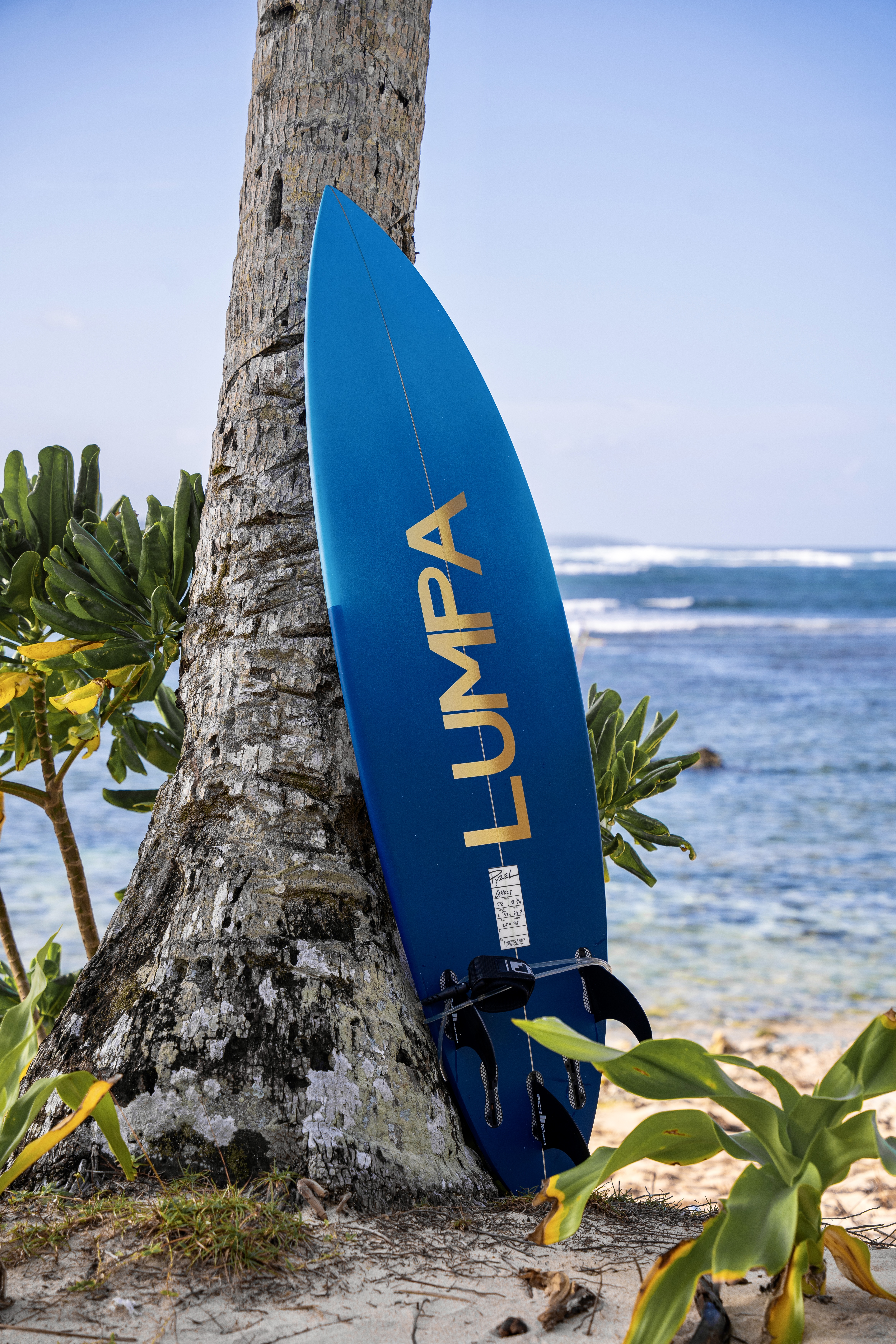 Teahupo'o, laboratoire de l'extrême
